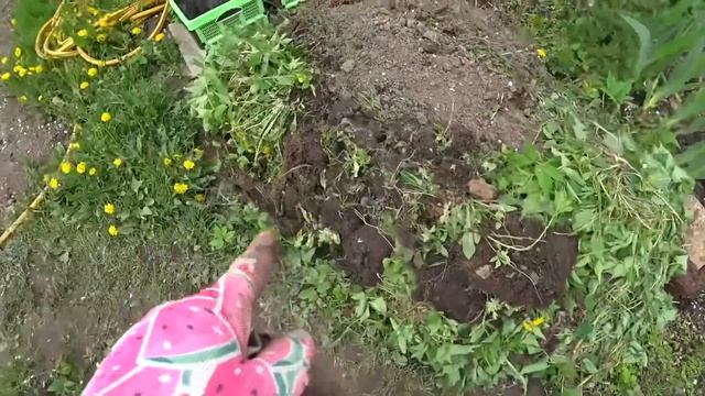 ВЛОГ «... что, зажала краску для подруги» ? / Выговорилась ? / Подарок от Любаньки 12 мая 2019 г. смотреть онлайн