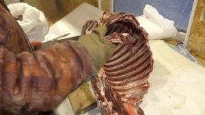 РАЗДЕЛКА ТУШИ ОЛЕНЯ