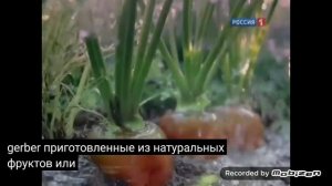 gerber 2012 реклама