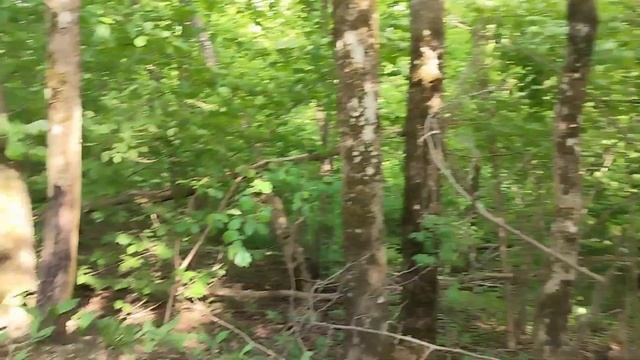 Дудергофские высоты, 25 мая 2023 года