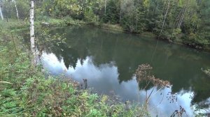 ВОБЛЕР JACKALL MAGALLON С ALIEXPRESS - ЩУЧЬЯ КОСИЛКА. ПРОВОДКА, ДОРАБОТКА, СРАВНЕНИЕ С ОРИГИНАЛОМ.