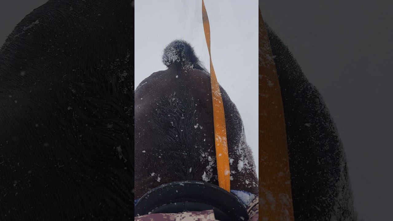 "Ванька,Ванька простота" смотреть онлайн