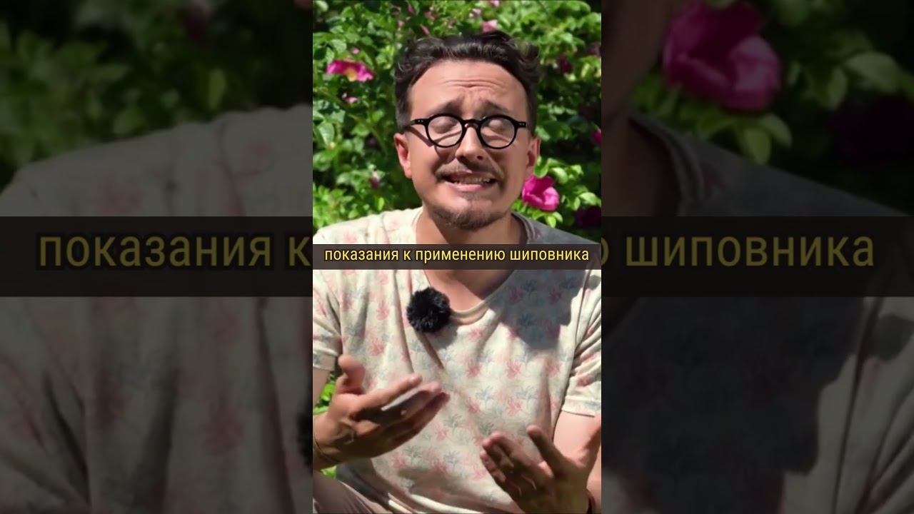 Показания к применению шиповника #живаяаптека смотреть онлайн
