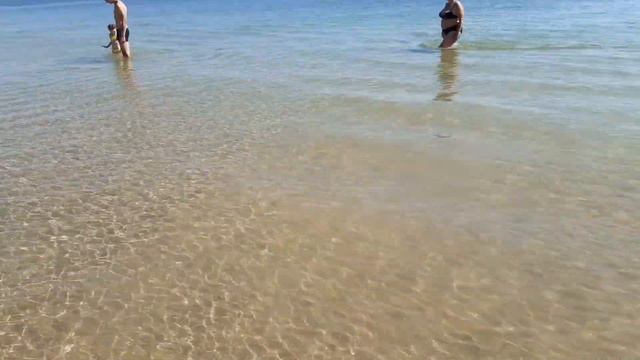 Южный,Одесская обл,вода днём +14,12 августа 2021 смотреть онлайн