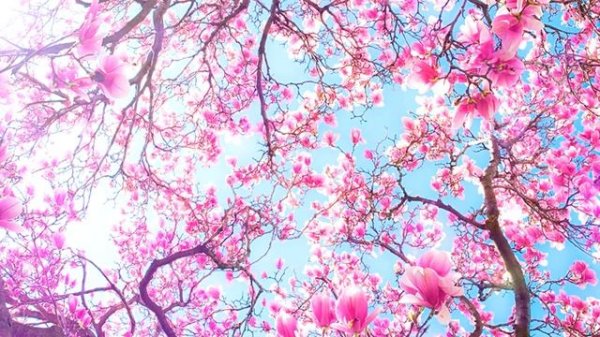 Beautiful music for soul and relaxation