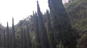 Крым, Алушта, отель Феодора, корпус Хит, номер на 3 этаже и коридор!