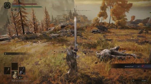 Let's Play! Elden Ring -28- Windmills! смотреть онлайн