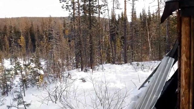 Подледная рыбалка на хариуса на реке Юхта п. Ярославский Ленского района. Проверяем капканы смотреть онлайн