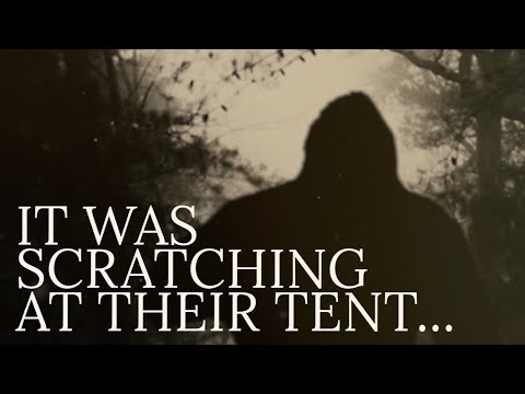 A CREATURE VISITS TERRIFIED CAMPERS смотреть онлайн