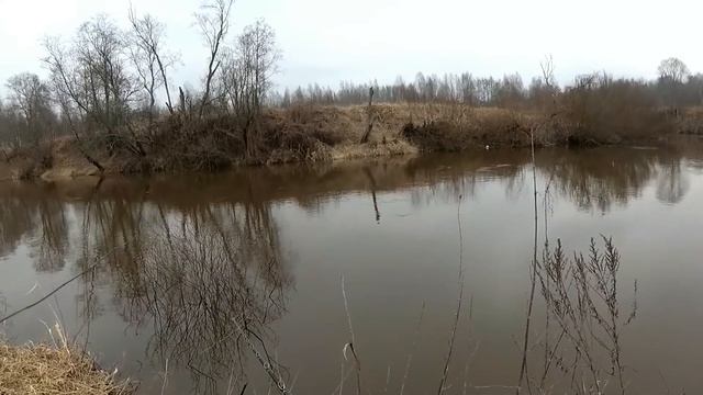 Рыбалка с каналом спиннингист отчёт 5.03.20 смотреть онлайн