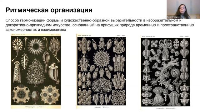 Лекция: Дизайн природных форм художественный потенциал графики Эрнста Геккеля смотреть онлайн