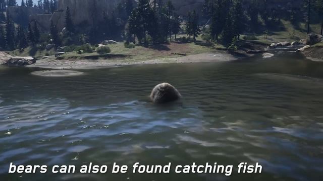 Red Dead Redemption 2 - Insanely Realistic Animals Details смотреть онлайн