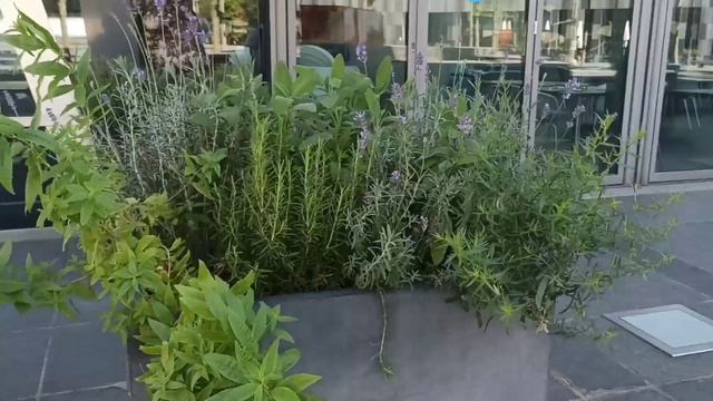 Путешествие в Люксембург смотреть онлайн