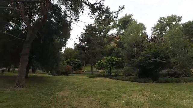 Йога утро в парке Глобы Днепр с Юлией Панковой смотреть онлайн