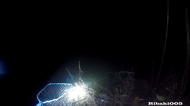 Тушиловка,рыбалка на сазана зимой. Вот это рыбалка.Рыбалка в Дагестане. смотреть онлайн