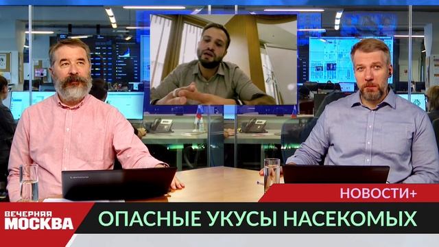Укусы каких насекомых особенно опасны для людей смотреть онлайн