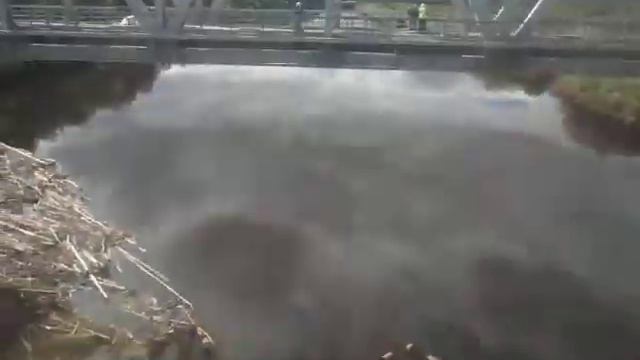 Сибирская река смотреть онлайн