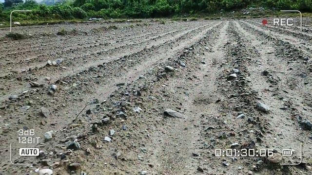 Update red allium onion resulta may tumubo na 6days смотреть онлайн