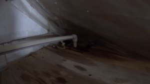 УСТАНОВКА Расширительного БАКА для ОТОПЛЕНИЯ дома