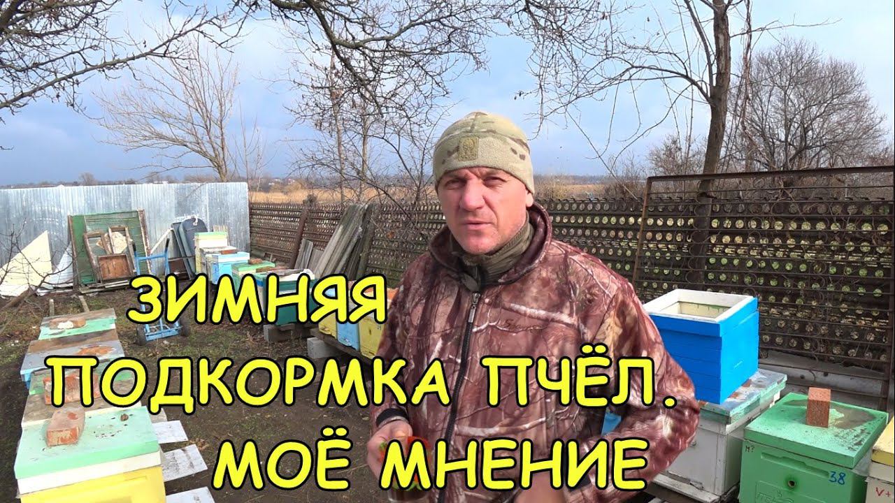 ЗИМНЯЯ ПОДКОРМКА ПЧЕЛ,МОЁ МНЕНИЕ смотреть онлайн