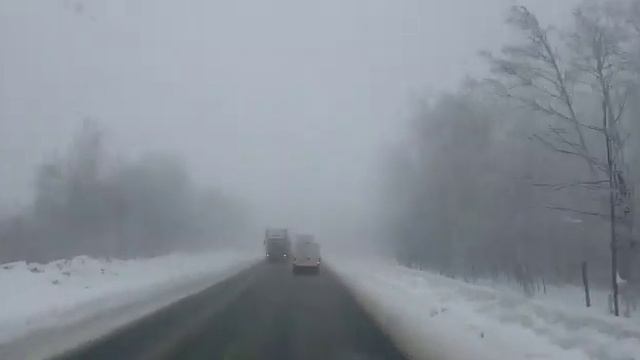 Первый день весны. А мы в тумане... смотреть онлайн