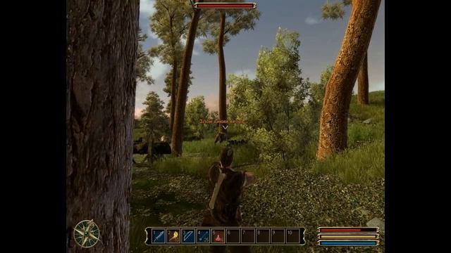 Gothic 3 прохождение #8 "УБЕЙ ДИКИХ КАБАНОВ". Миссия по убийству диких вепрей в Реддоке. смотреть онлайн