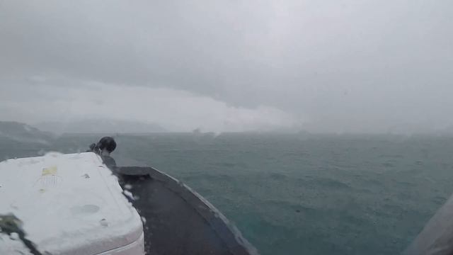 Killer whales surround our boat as we go fishing for coho salmon and crab смотреть онлайн