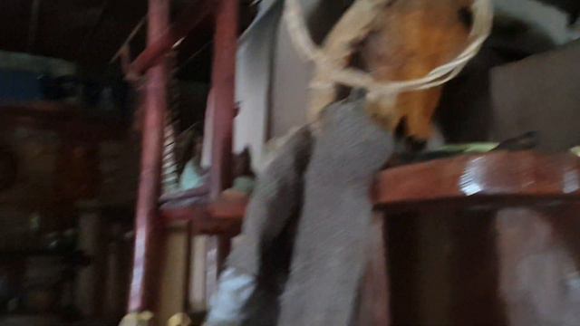 Про домовых в честь Дня Рождения. смотреть онлайн