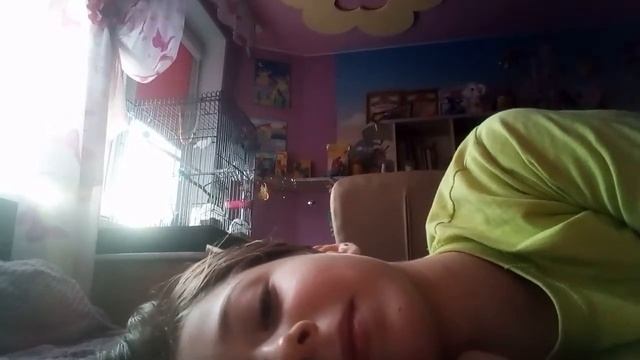 Попуг ест камеру + моя сонная страшная морда не с непомытой головой, смотреть онлайн без регистраци