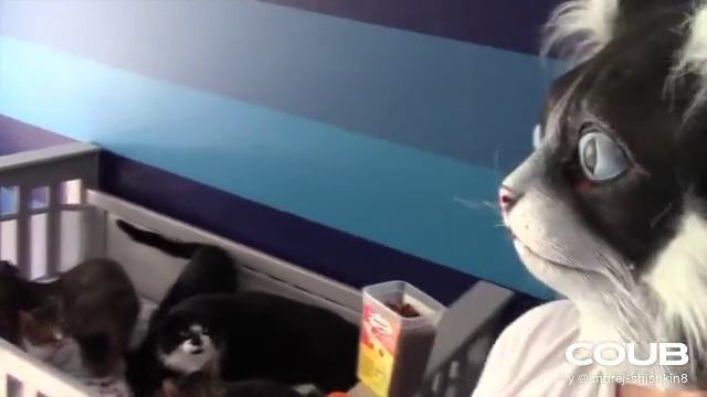 1608963551_looped_1608963548.mp4 смотреть онлайн