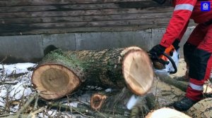 Обзор бензопилы STIHL MS 462