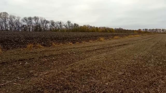 Внесение удобрений в основную обработку трактором МТЗ-82.1(ч.1) смотреть онлайн