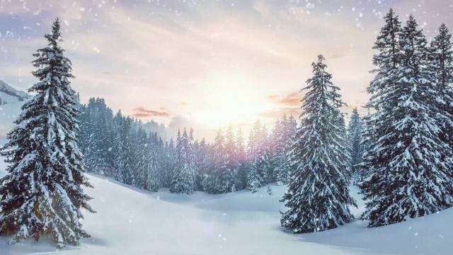 В лютый мороз фермер спасал овцу и ошалел от увиденного