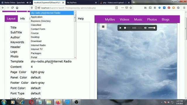 Skypress: TV, Blogs, Store, Music, Radio, Business Directory, Job Application, Video & Gallery Site смотреть онлайн