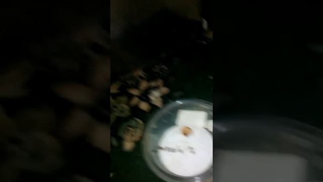Гонки улиток ждите продолжения смотреть онлайн
