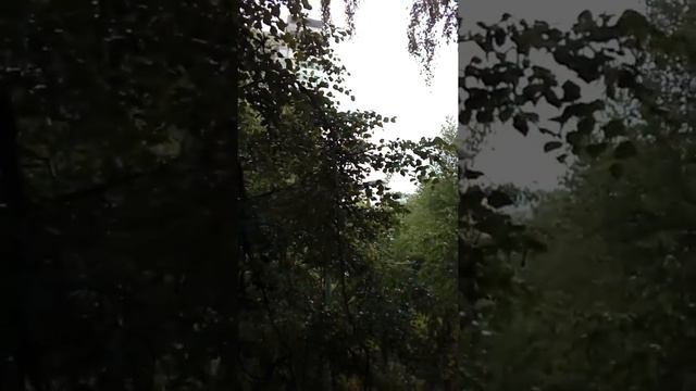 И снова ливень "стеной". Дорожки и дороги превращаются в реки. г. Москва. 3 июля 2017 г. смотреть онлайн