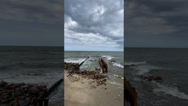 Светлогорск - Морской берег смотреть онлайн