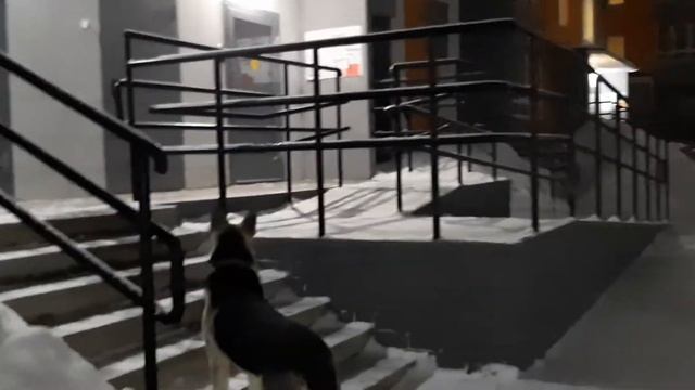 Киров, Чистые пруды - новый район города смотреть онлайн