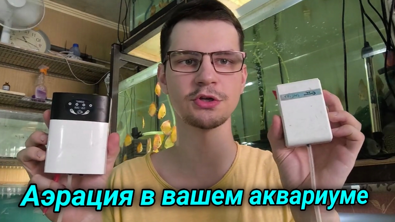 Аэрация в вашем аквариуме смотреть онлайн