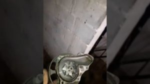 Honda accord 2.4 american. Замена помпы,ремня и ролика