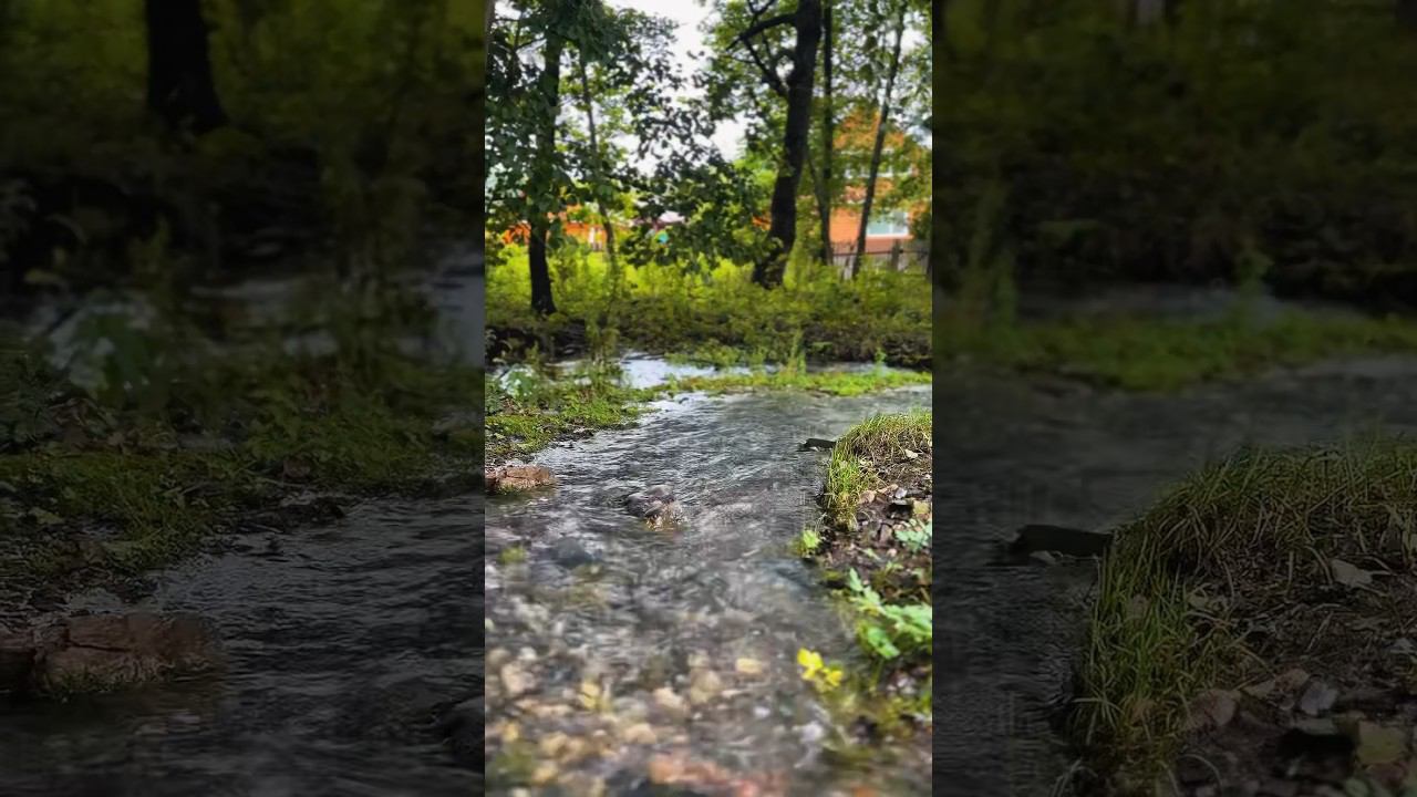 Горный родник в село Макарово️ #башкирия #природа #bashkortostan #лето #деревня смотреть онлайн