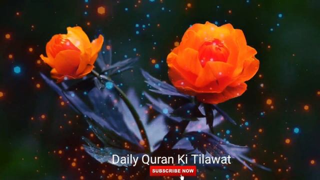 Surah Yasin ( Yaseen ) Ep002 || Beautiful Tilawat | سورہ یٰس36 | Quran Recitation |Edited&dqkt смотреть онлайн