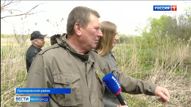В Белгородской области пересчитывают бобров смотреть онлайн