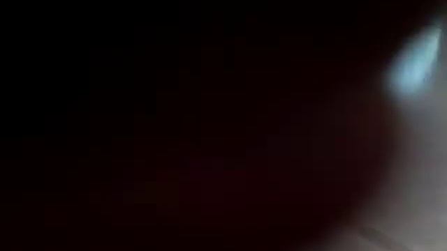 The spinaroo!!! смотреть онлайн