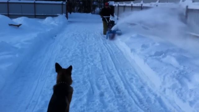 Мотоблок Нева МБ-23-Б-10.0 B&S Intek I/C 10.0 л.с смотреть онлайн