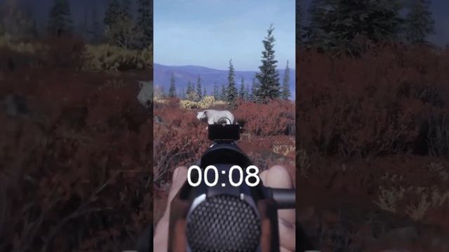 theHunter Call of the Wild - ТЫ ЗНАЛ ЭТО? смотреть онлайн
