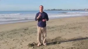 5 3 Практика Наполняем тело энергией Ци  С Ли Холденом  Гимнастика цигун для начинающих