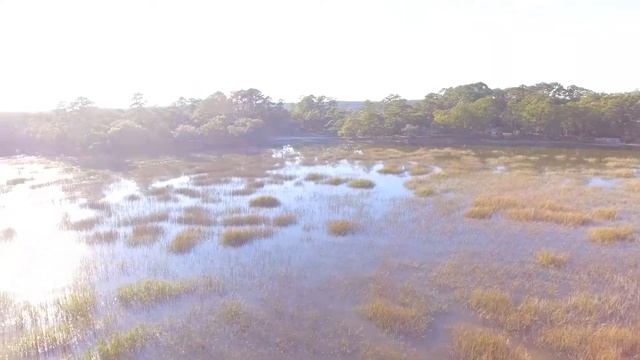 Pleasant Point Plantation Tour смотреть онлайн