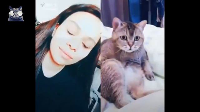 Life Of Beloved Animals# 38 (видео смешных моментов любимых животных)