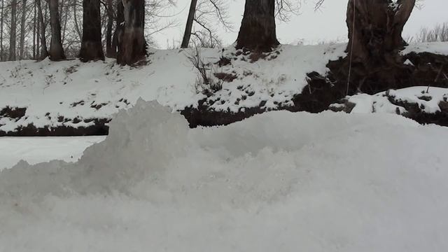 ЭТИ КОРЯГИ КИШАТ КРУПНЫМ КАРАСЕМ!!!!Ловля карася со льда.Рыбалка 2019. Окунь .Рыбалка в луже. смотреть онлайн